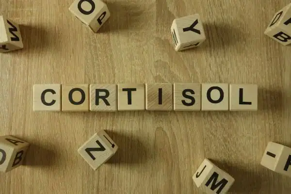 The Hidden Connection: How Stress Shapes Your Fitness and Body Composition 2 Image saying "Cortisol" and how stress Waltham Abbey impacts your wellbeing and bodies shape
